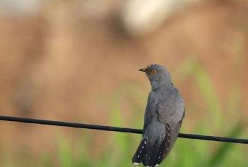 �ӹ���ʲô�� �ж����㱯�ధԹ֮��