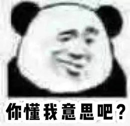 ��������ʲô��˼ �Ʋ����ݵ�һ���м����Ľ�ɫ