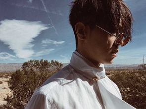 马伯骞是红花会的吗 马伯骞和红花会并无关系