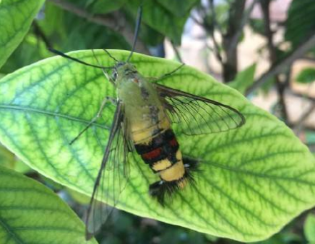 ����������׳�ֵ����Ǯ �׳���Ǳ��߼�����