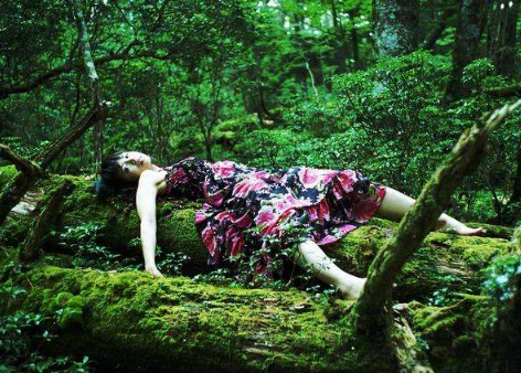 ��ľԭɭ���й��� ��ɱʥ����ľԭɭ��δ��֮��