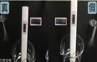 ϣ˼���˭��һ������ 1976�굮���ڷ���