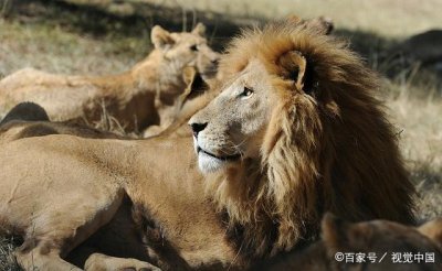 ����������֮����˭ ����֮��Ϊʲô���Ǵ���