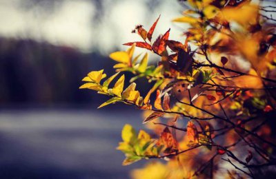 ��̵ļ�����ʲô ��̵ļ�����һ������