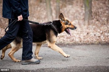 ��ѵ���������ɻ����� ��ѵ���������ɿ��ܲ����û���