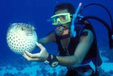 ��ˮĸ���������ڼ� ��״����ڵĶ���������һ