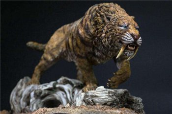 �б�ʨvs���ݻ� �޽��ݻ������ص�