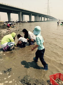 �������������ڸ��� �ڸ��۵Ķ����ɳ�������