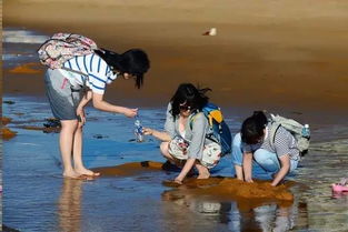 �������������ڸ��� �ڸ��۵Ķ����ɳ�������