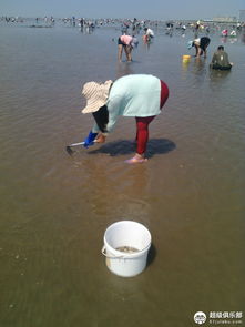 �������������ڸ��� �ڸ��۵Ķ����ɳ�������