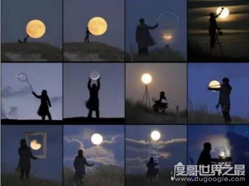 今晚的月色真美是啥意思 下一句又是什么呢