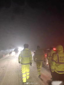 Ҷ������˶��ٿ� Ҷ����ʮԪ���̸