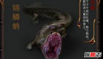 ��������ɽ������һ�� �񻰶����ܽ�ɱ�����̶�ʳ֮