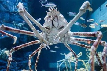 ��������10000���Ķ��� �����������з��