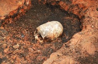 俄出土奇怪头骨 和人类头骨相差甚远