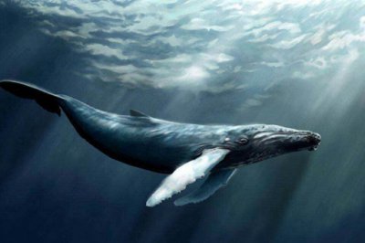 中国传说中的上古神兽北冥鲲鹏是一种什么样的神鸟 上古神兽白泽的