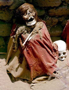 ���������Ĺ��� ���п���˿��Ϊ�Ѹ�����