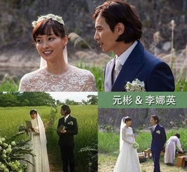 Ԫ��Ϊʲô����Ϸ�� ��Ϊ�����ع��ͥ��