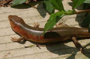 �Ľ����ж��� ��û�ж��Ե�