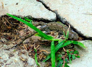 �Ľ����ж��� ��û�ж��Ե�