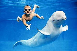 �׾������൱���˼��� �����ܴﵽ����С������