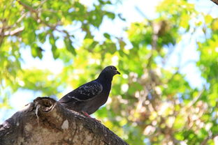 ������벻�²�������ʲô�� ��ŷ�������ǵ�3�˺ϳ�����O-ZONE