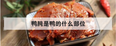 鸭肫是鸭的什么部位 经常吃鸭肫有什么坏处