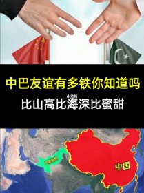 中巴友谊真的这么铁吗 中巴友谊为什么这么好