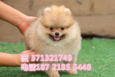 ����Ȯ�Ͳ豭Ȯ���� �����ڱ�������û��ʲô����