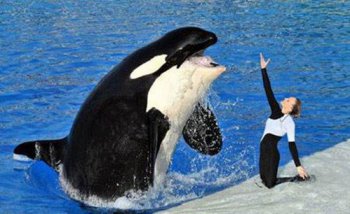 ������������֮�Ѻ�ԭ���� ��������ʶ�Ļᱣ������