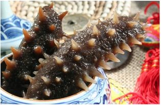 ���β�ʲô ���Բ��κͲ���