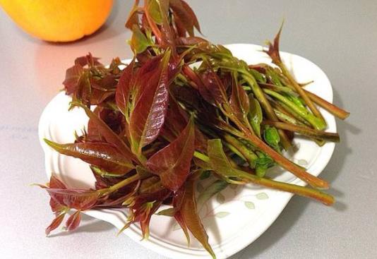 �㴻�����°�����ȷ������ ��ȷ������ʵ������������