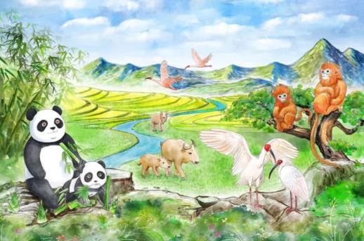 秦岭四宝是指什么 朱鹮、大熊猫、金丝猴和羚牛