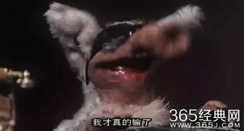 �»���Ϊʲô���� ��𱦱��»������ԭ��