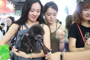 ֣����������Ī��ô�� ����δ����������������һ˵