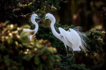 ������ʲô�� ��һ�ַǳ�������ˮ��