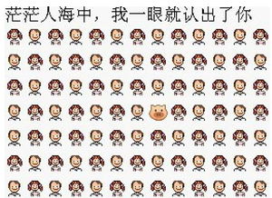 五灵脂是什么动物粪便 五灵脂是老鼠屎吗