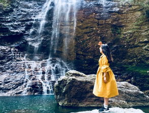 ����������� ָ�����Ŵ�Ѯ���صĳ���