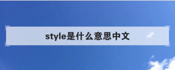 style��ʲô��˼���� ĳ�˰��������Լ���style