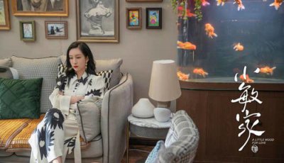 С���Ҵ�����ʲô С�����������޳�������