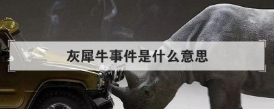 灰犀牛事件是什么意思 典型的灰犀牛事件有哪些