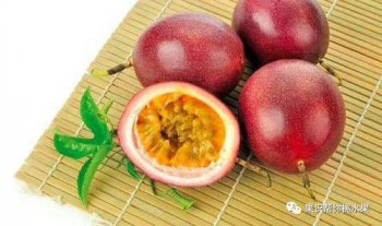 ����������ܳ��� �ǿ��ԳԵ���ͨ������