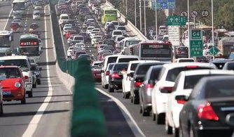 ������ٹ�·��Ѽ��� һ����8��С�������8��