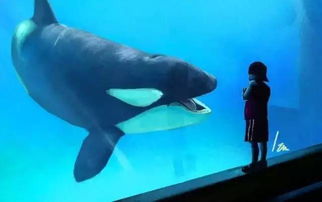 alice�����ҵ�ͬ������ ��û���յ��κδ�