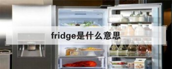 fridge��ʲô��˼ ������Ϊ����ʹ��