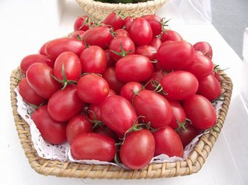 中国已禁止转基因食品 圣女果是转基因的吗