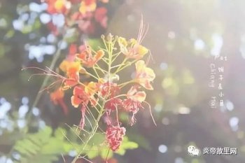 岁月静好浅笑安然什么意思 希望能够在宁静的时光中一切美好