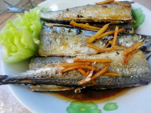 �ﵶ��Ϊʲô��ô���� һ�������������