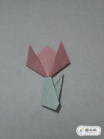 简单的手工折纸花步骤图解 简单折纸100种花的折法