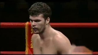 ɢ�������������м��� Ӧ�����ж�������������